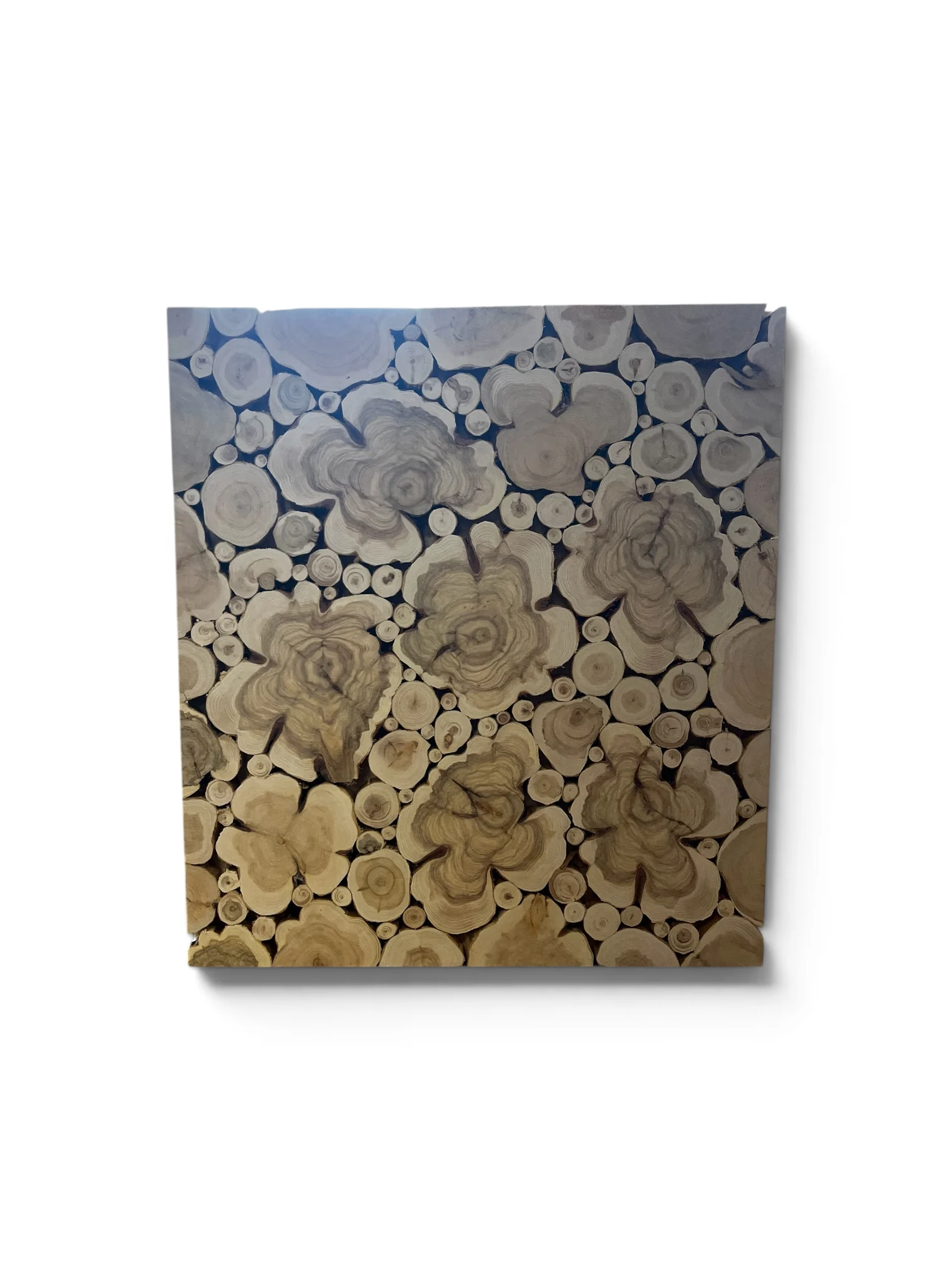 Kadiķu panelis 45X50cm